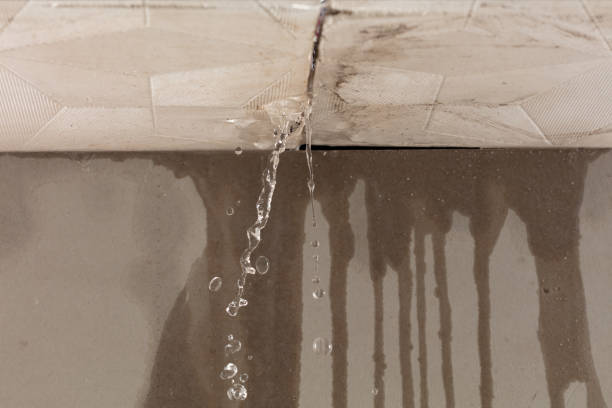 Professional Water Damage Inspection technician working in Puryear, TN